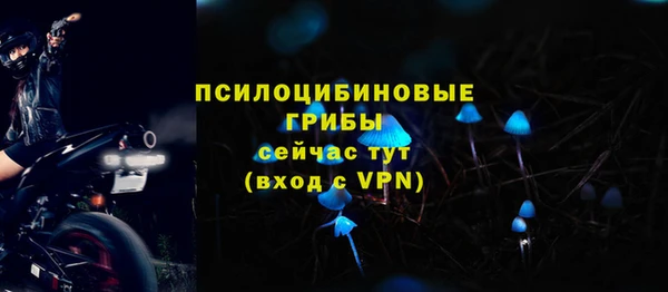хмурый Балахна