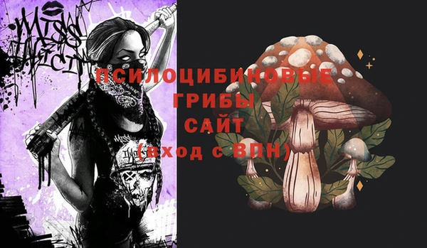 хмурый Балахна