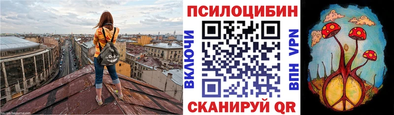 купить наркоту  Ногинск  Псилоцибиновые грибы Psilocybe 